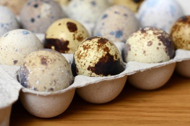 bıldırcın yumurtası