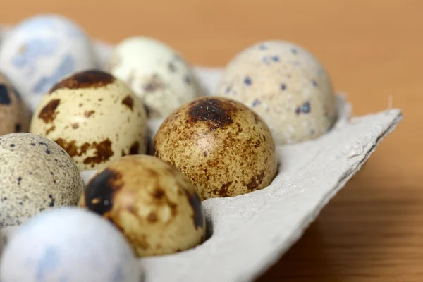 Quail eggs — Stock Photo, Image