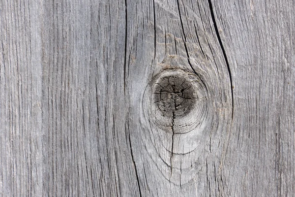 Wood texture — Stock Photo, Image