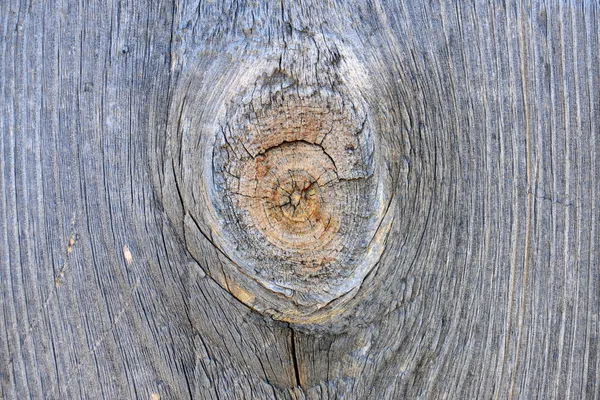 Textura madera — Foto de Stock