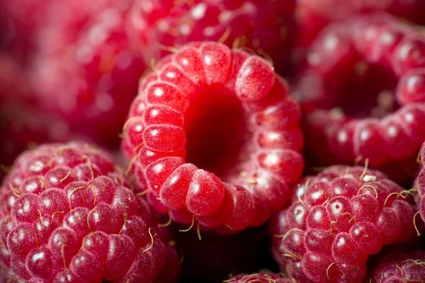 Raspberry achtergrond — Stockfoto