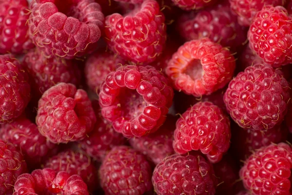 Raspberry achtergrond — Stockfoto