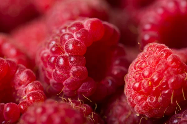 Raspberry background — Stock Photo, Image