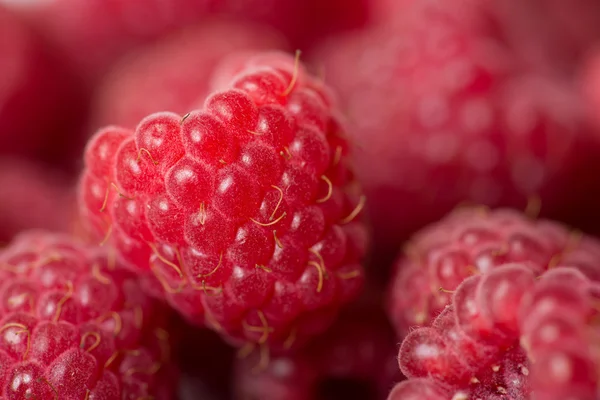 Raspberry background — Stock Photo, Image