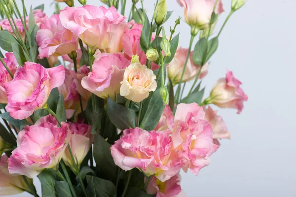 Blommor bakgrund — Stockfoto