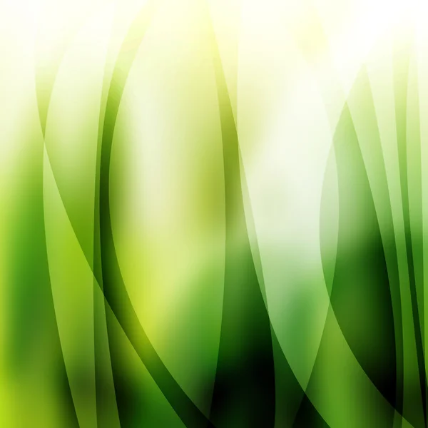 Certificate background green Stock Photos, Royalty Free Certificate