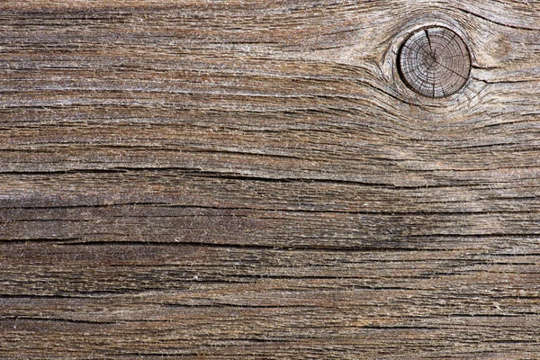 木材质地 — 图库照片