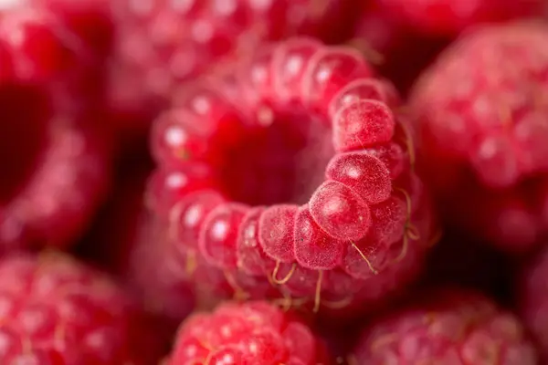 Raspberry fruit background — Stock Photo, Image