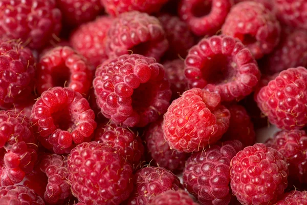 Raspberry vruchten achtergrond — Stockfoto