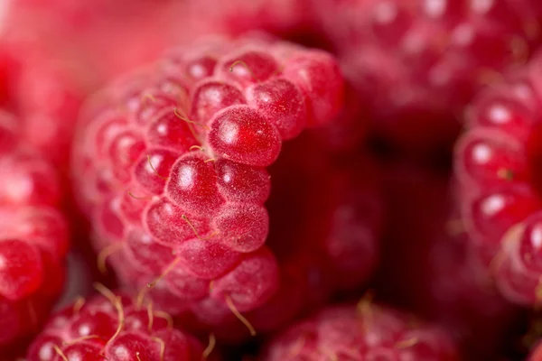 Lampone frutta sfondo — Foto Stock