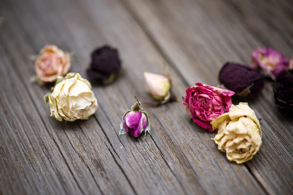 Dry roses on old wood background — Stock Photo, Image