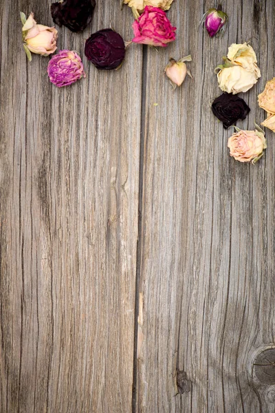 Blommor bakgrund — Stockfoto