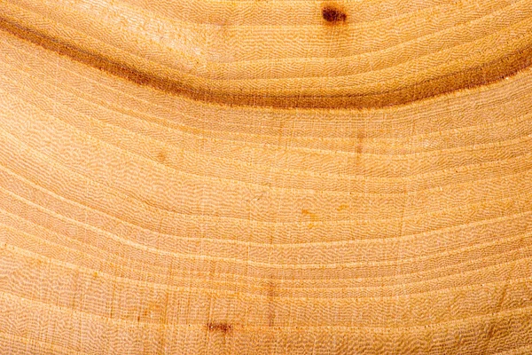 Houten textuur, hout achtergrond — Stockfoto
