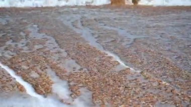 Mavi deniz kıyısında, sarı kumlu.