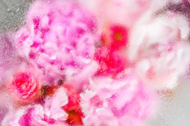 Su damlalarının altında soyut çiçek buketi arkaplanı