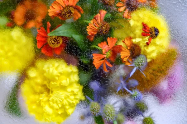 Fundo abstrato buquê de flores sob gotas de água Imagens De Bancos De Imagens