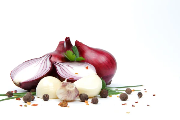 Cebolla con ajo y especias aisladas sobre fondo blanco — Foto de Stock