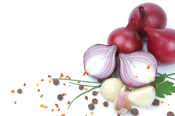 Zwiebel mit Knoblauch und Gewürzen isoliert auf weißem Hintergrund — Stockfoto
