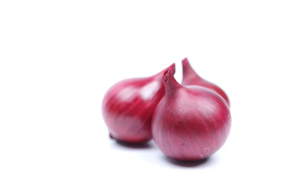 Rote Zwiebelknolle isoliert auf weißem Hintergrund — Stockfoto
