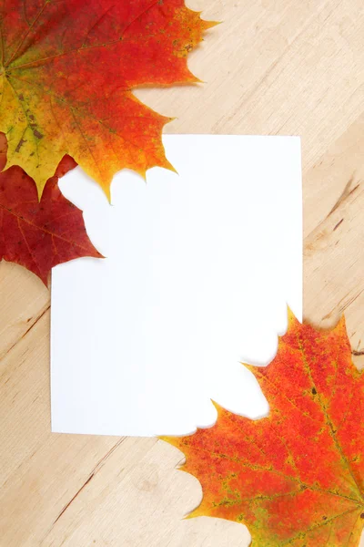 Hojas de otoño con hoja de papel sobre fondo de madera textura — Foto de Stock