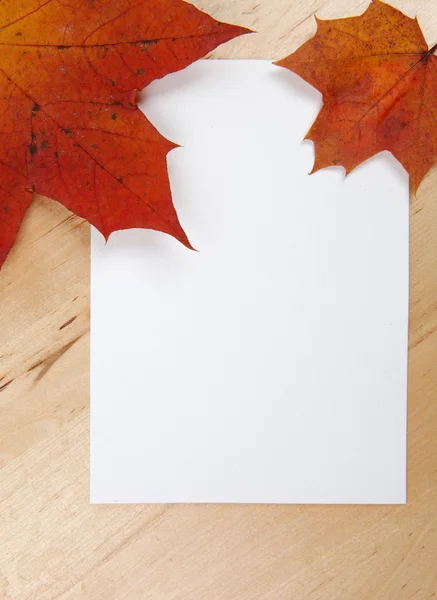 Autumn leaves with paper sheet on wooden background texture — Stock Photo, Image