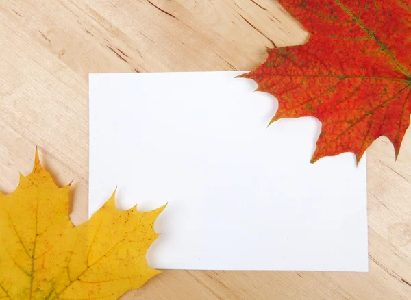 Hojas de otoño con hoja de papel sobre fondo de madera textura — Foto de Stock