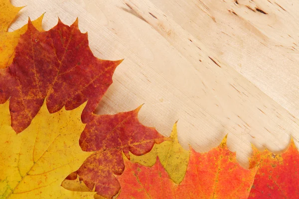Hojas de otoño sobre fondo de madera textura — Foto de Stock