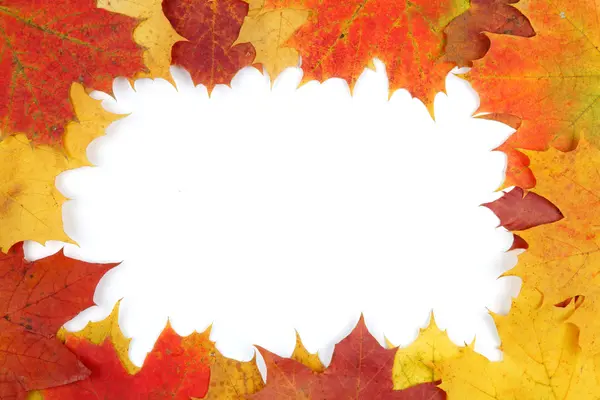 Рамка из цветных осенних листьев — стоковое фото