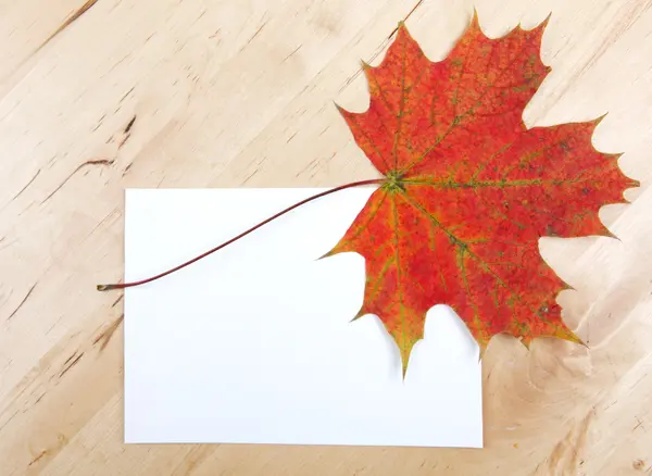 Hojas de otoño con hoja de papel sobre fondo de madera textura — Foto de Stock