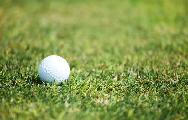 Pelota de golf en verde — Foto de Stock