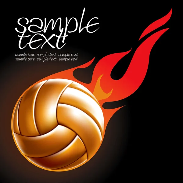 Ensemble de balle de volley-ball 4 — Image vectorielle