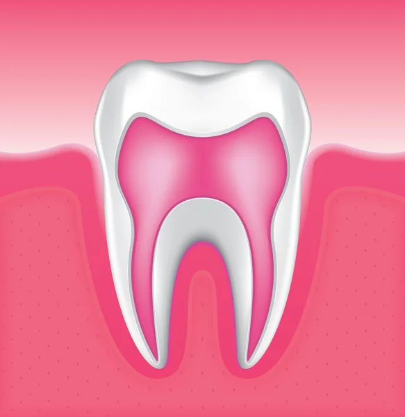 Zahnsatz 4 — Stockvektor