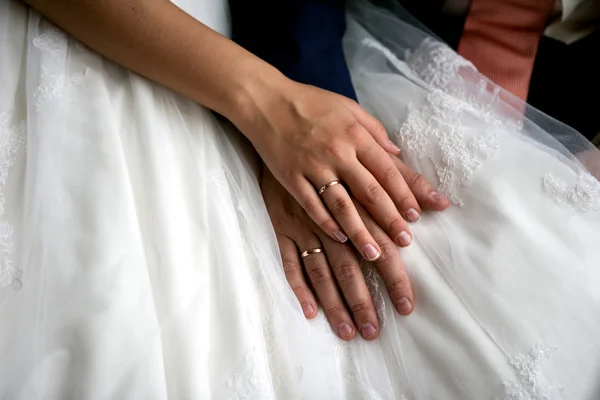 Bride and groom hands — Stock Photo, Image
