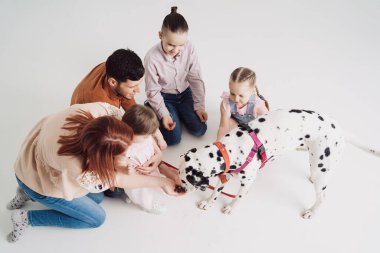Beyaz arka planda bir dalmaçyalı köpekle oynayan aile.
