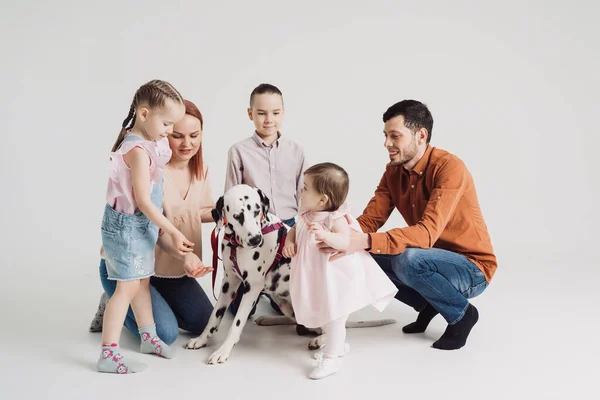 Семья играет с далматинской собакой на белом фоне — стоковое фото