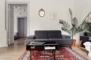 İç dizayn - kanepe, yeşil bitki, beyaz duvarlar