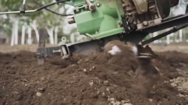 Man membajak tanah di taman di latar belakang langit — Stok Video