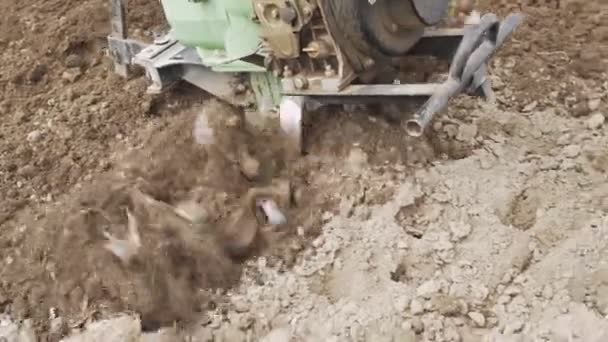 L'uomo arare la terra nel giardino su sfondo cielo — Video Stock