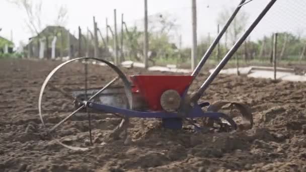 Hombre plantando semillas en el jardín usando una sembradora — Vídeos de Stock