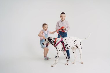 Erkek ve kız kardeş bir köpekle oynuyor.