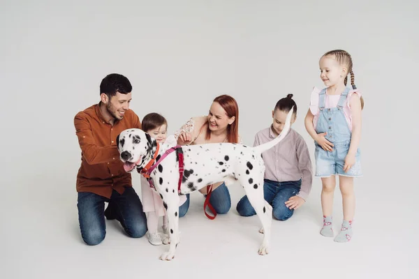 Семья играет с далматинской собакой на белом фоне — стоковое фото