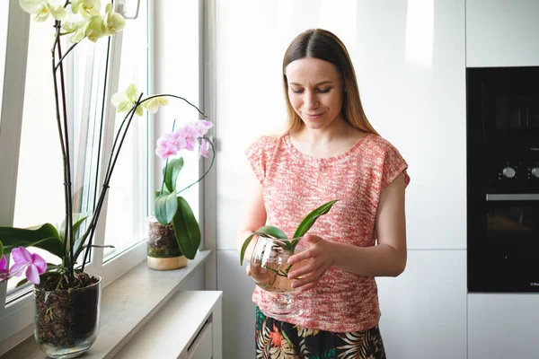 Красива жінка тримає в руках банку з водою з рослиною орхідей — стокове фото