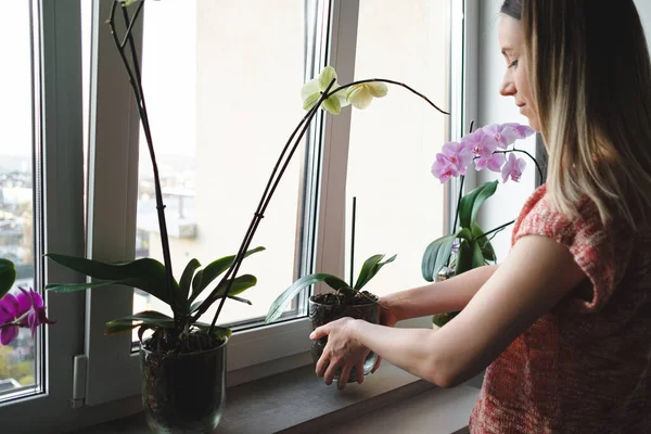 Femme arrangeant des fleurs dans la maison — Photo