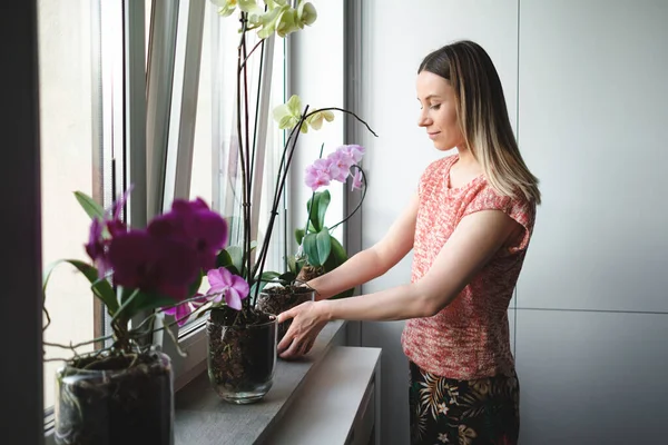 Mujer arreglando flores en la casa — Foto de Stock