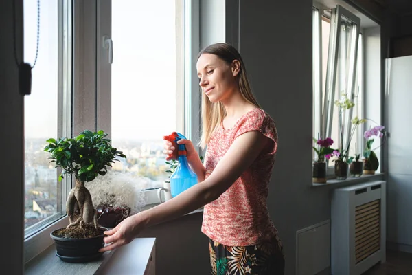 Ελκυστική γυναίκα ποτίζει ένα μπονσάι δέντρο στο διαμέρισμα — Φωτογραφία Αρχείου