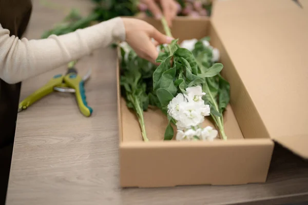 Floristería Trabajando Con Flores Haciendo Una Composición — Foto de Stock