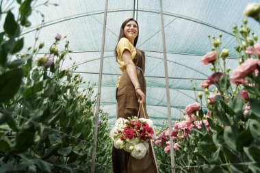 Woman florist walking among flowers in a green house carrying a basket with a fresh bouquet