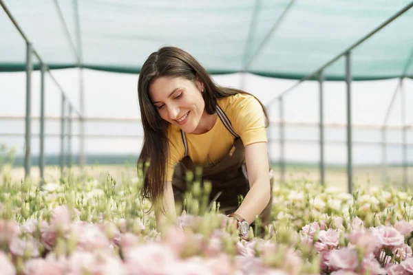 Young florist in apron working in greenhouse. Cheerful woman working with flowers, inspecting them for sale.