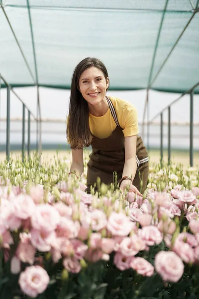 Young florist in apron working in greenhouse. Cheerful woman working with flowers, inspecting them for sale.