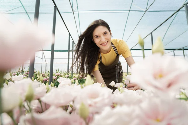 Young florist in apron working in greenhouse. Cheerful woman working with flowers, inspecting them for sale.